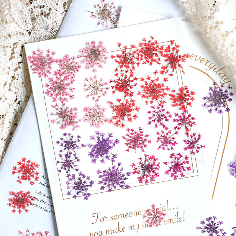 Resin Art Baby - 24pcs,2-2.5cm,nature Dyed Mini Lace Pressed Flower