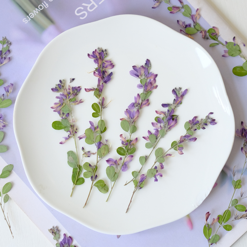 6pcs,nature Lespedeza Formosa  - مراجعة Resin Art Baby وسعره