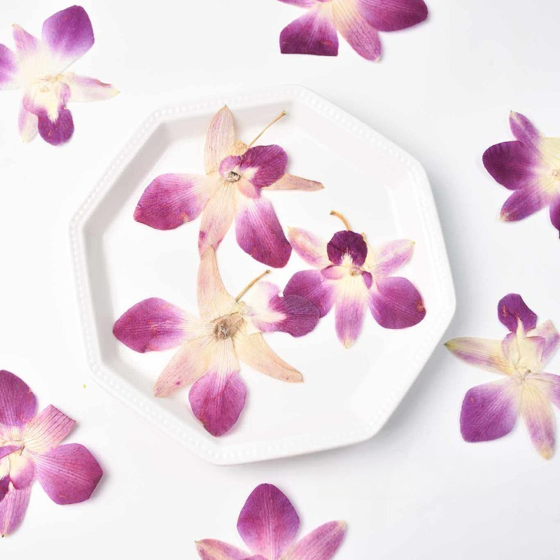 4pcs,Real Pressed Butterfly Or - مراجعة Resin Art Baby وسعره