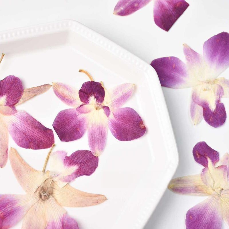 4pcs,Real Pressed Butterfly Or - مراجعة Resin Art Baby وسعره