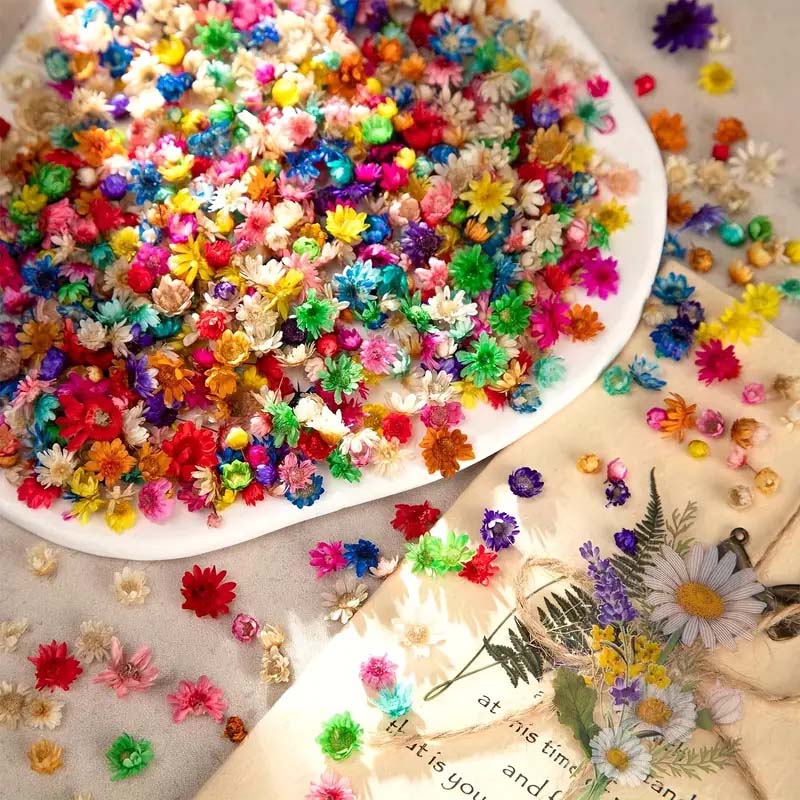 Mixed Colorful Flower for Wax  - مراجعة Resin Art Supplies وسعره