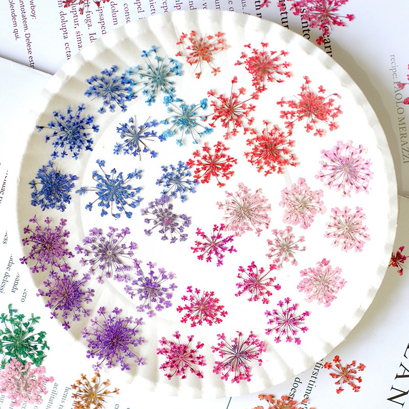 24pcs,2-2.5cm,nature Dyed Mini - مراجعة Resin Art Baby وسعره