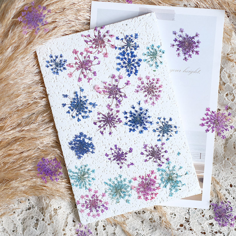 24pcs,2-2.5cm,nature Dyed Mini - مراجعة Resin Art Baby وسعره