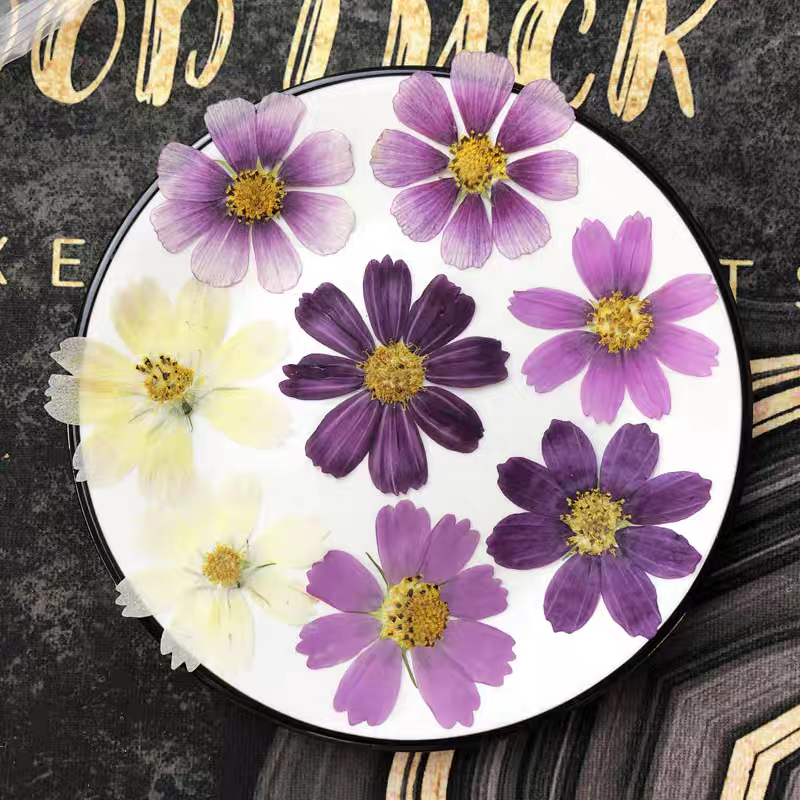 60pcs Pressed Dried Cosmos Flo - مراجعة Resin Art Baby وسعره