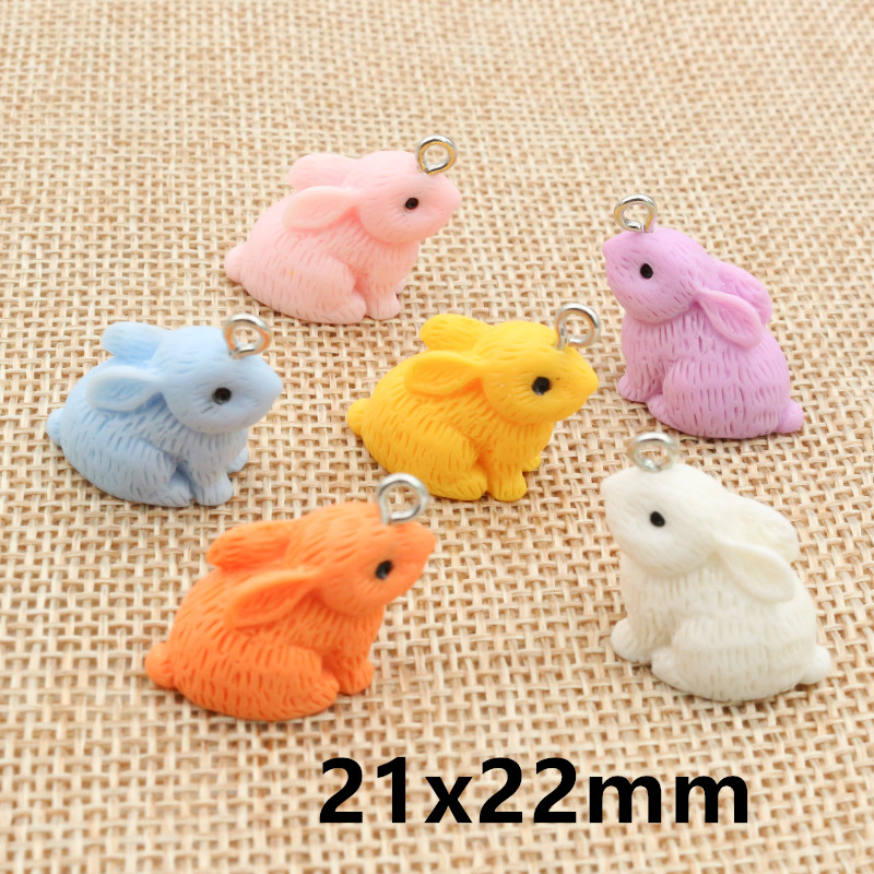 10PCS Resin Pendant Charms Rab - مراجعة Resin Art Supplies وسعره
